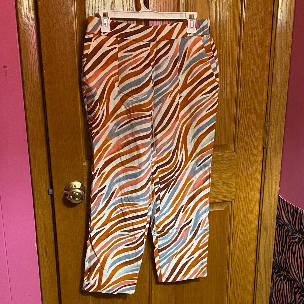Ann Taylor Orange and White Striped Pants